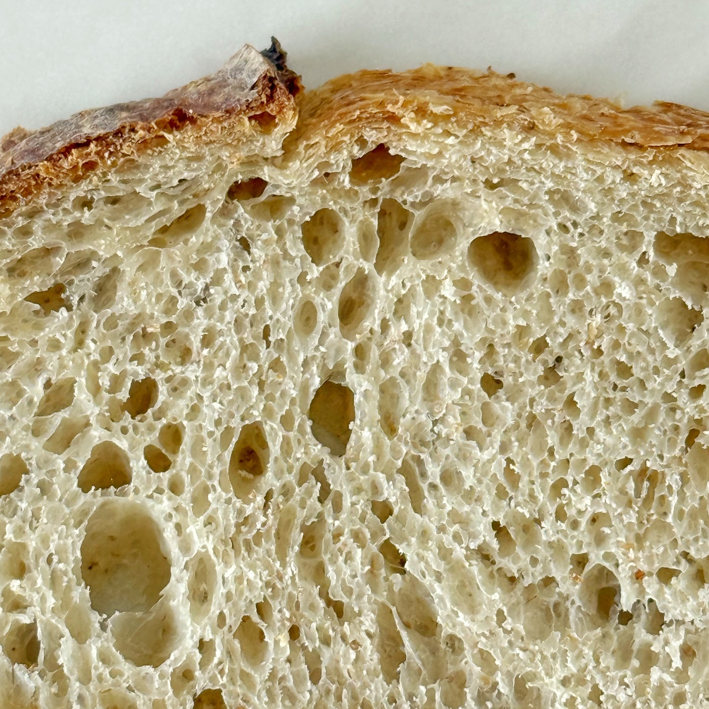 Artisan Sourdough Loaf (Batard)