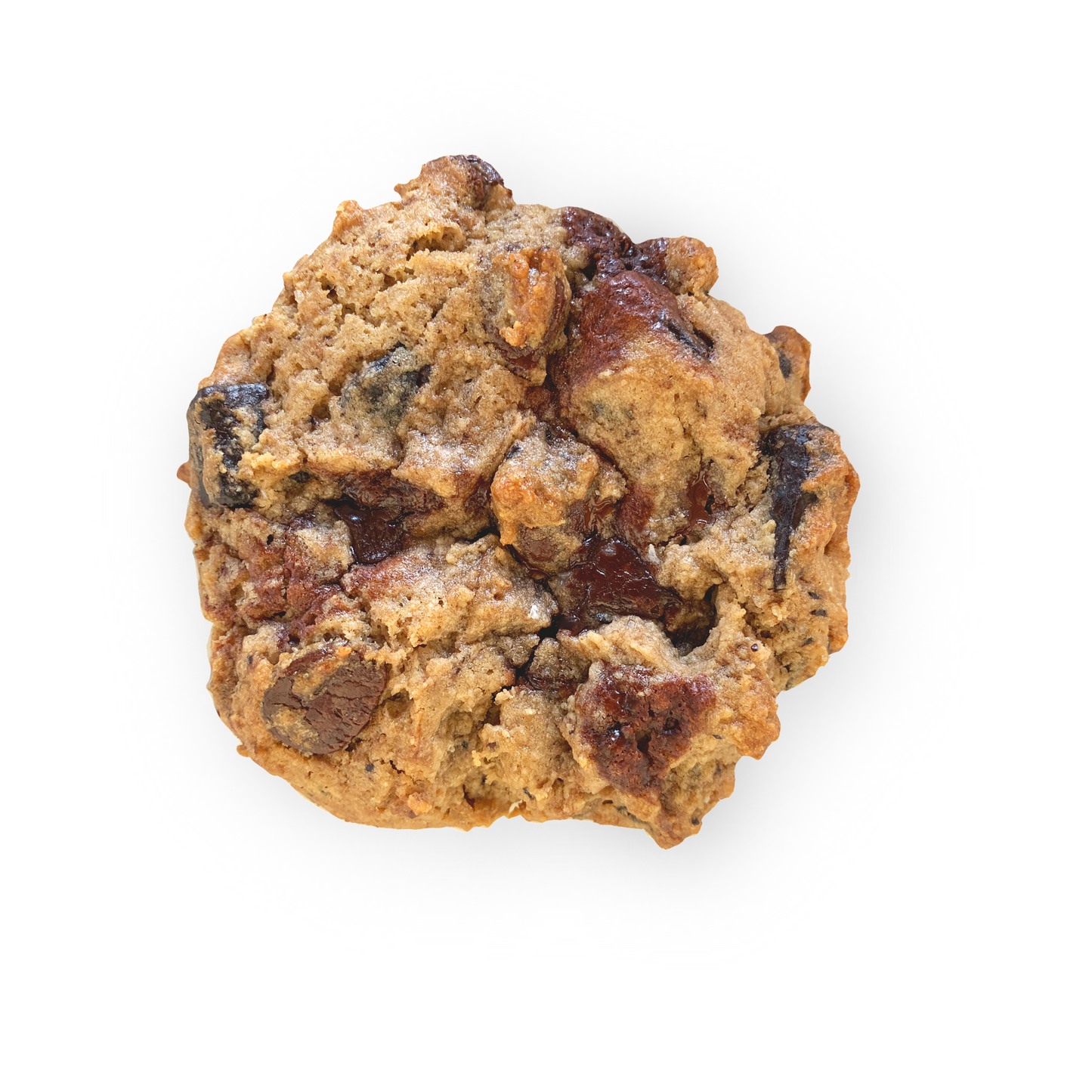 Audrey's Chocolate Chip Cookie